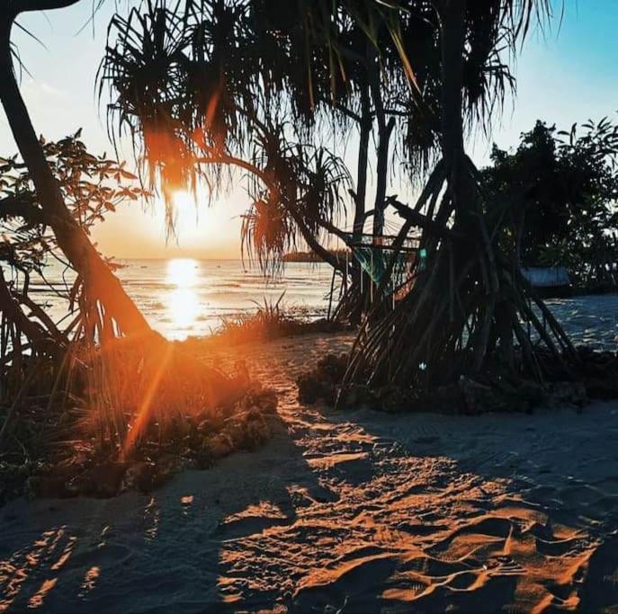 Lejlighed Soluna Mini House Unguja Ukuu